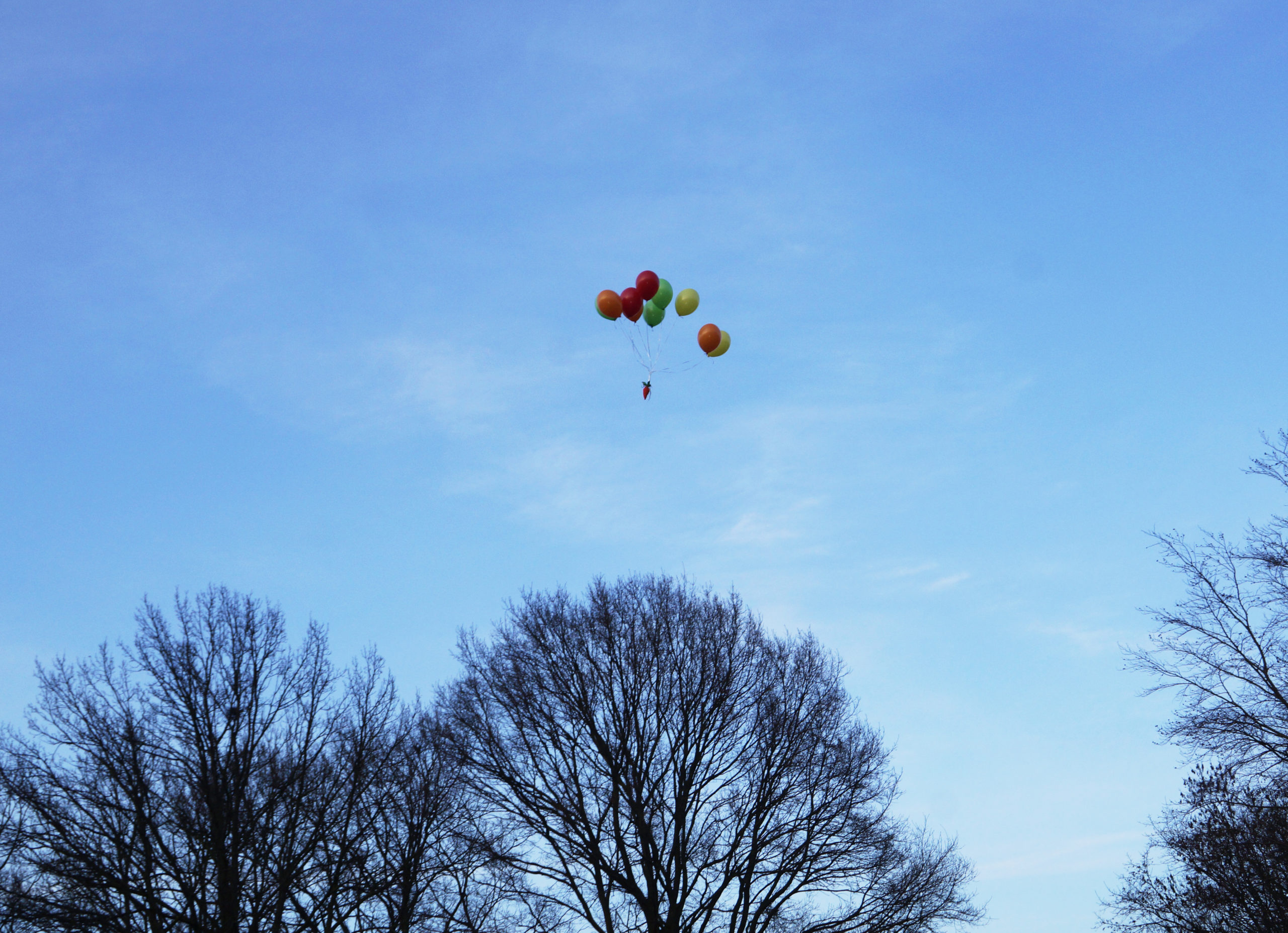 moer aan ballonnen